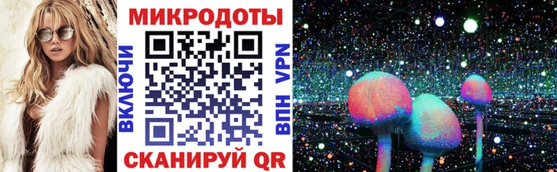 Псилоцибиновые грибы Psilocybine cubensis Королёв